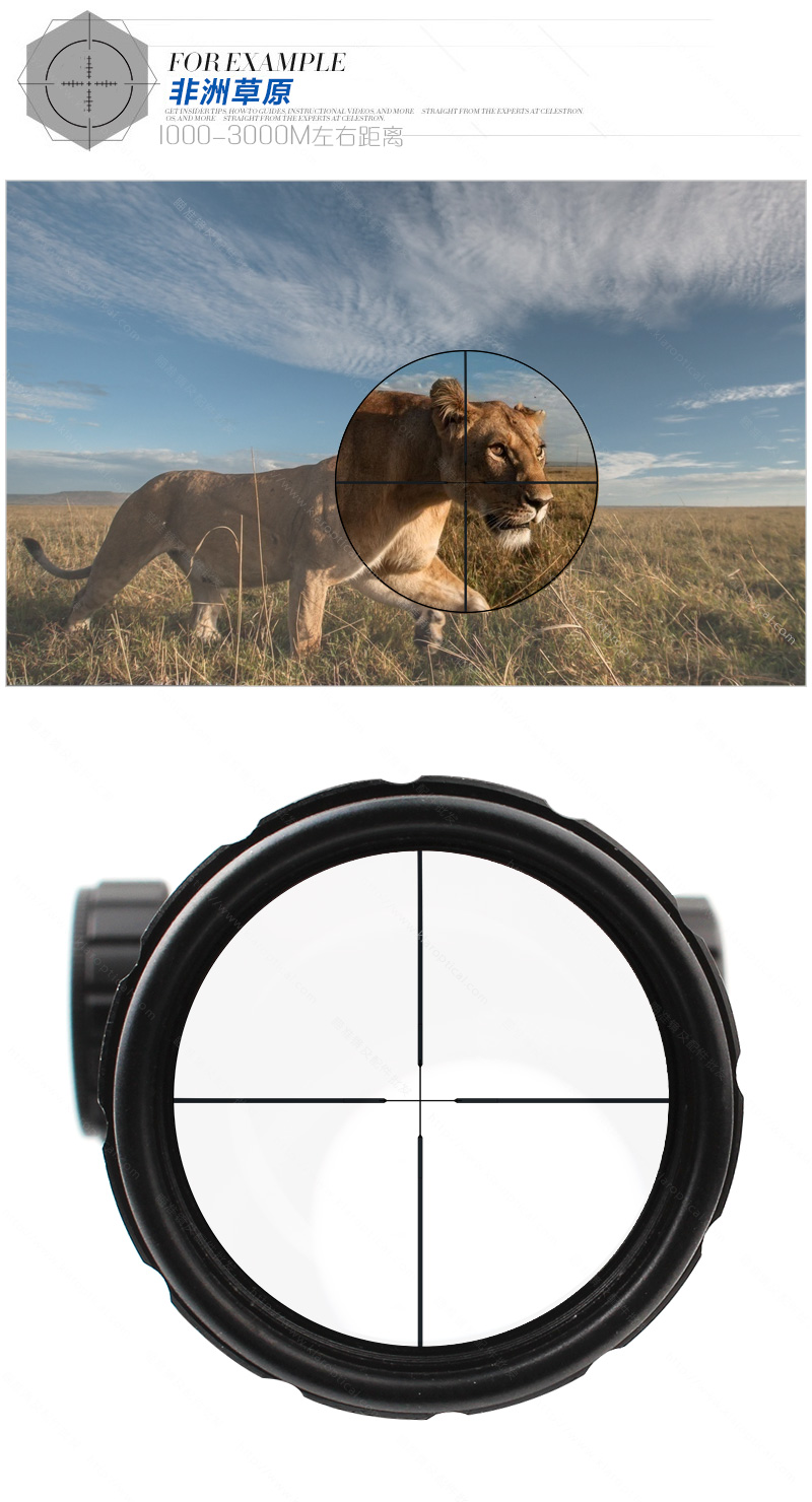 LEUPOLD4-5-14X50瞄準(zhǔn)鏡_13.jpg